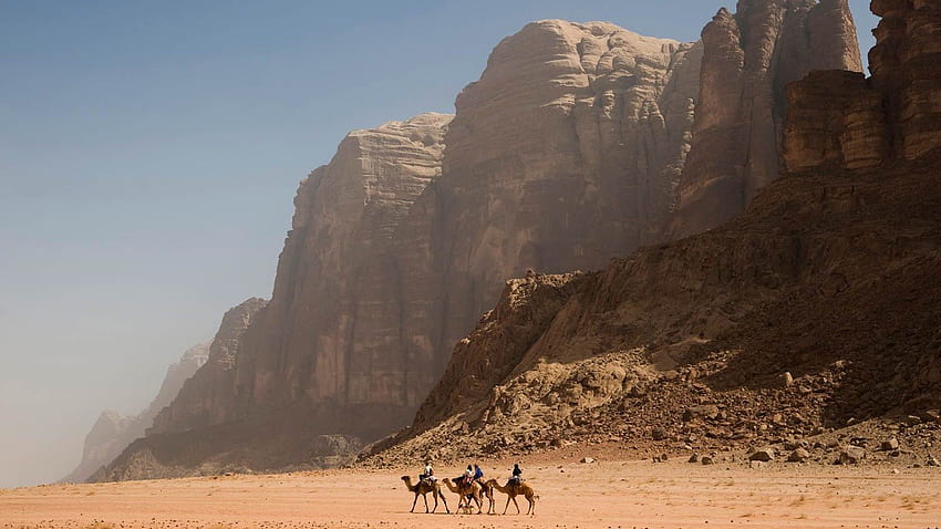Chameaux dans le Wadi Rum – Voyage Fond d'écran HD