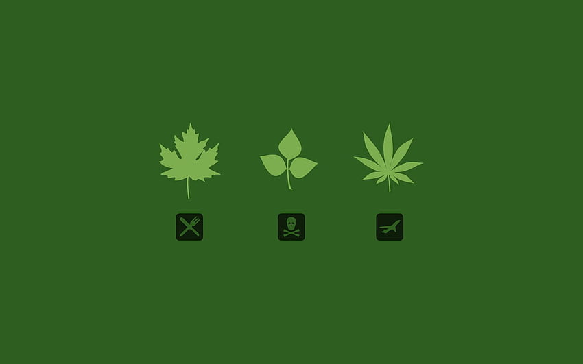 feuilles, marijuana, Funny Weed Fond d'écran HD