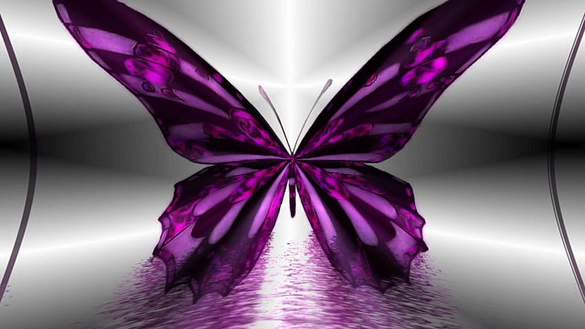 Farfalla Viola. 2021 Carino, Farfalle Estetiche Sfondo HD