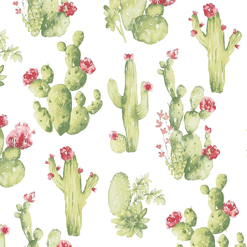Norwall Cactus Vinyl Roll (Covers 55 sq. ft.)-CK36630 - The Home Depot, Cool Cactus HD phone wallpaper