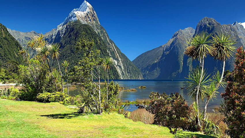 Mitre Peak, Parc National de Fiordland, Nouvelle-Zélande, mer, collines, paysage, arbres, ciel, eau Fond d'écran HD