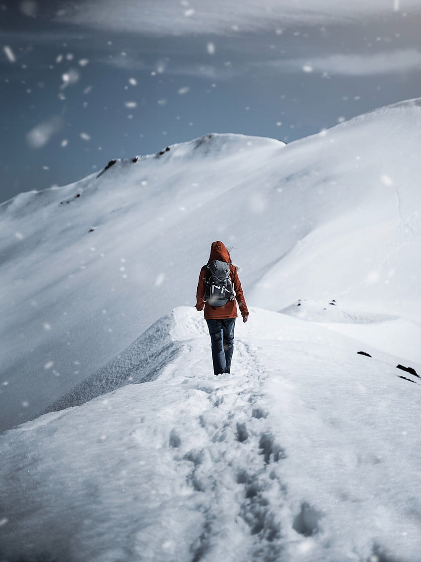 눈 덮인 땅을 혼자 걷는 겨울 옷을 입은 사람의 뒷모습 · 주식 HD 전화 배경 화면
