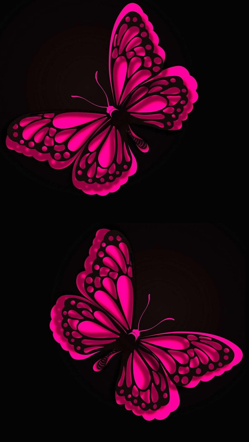 21 3d Butterfly iPhone Wallpapers  Wallpaperboat