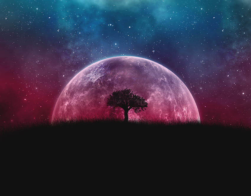 Planet, silhouette, tree, moon, galaxy, stars, hop HD wallpaper