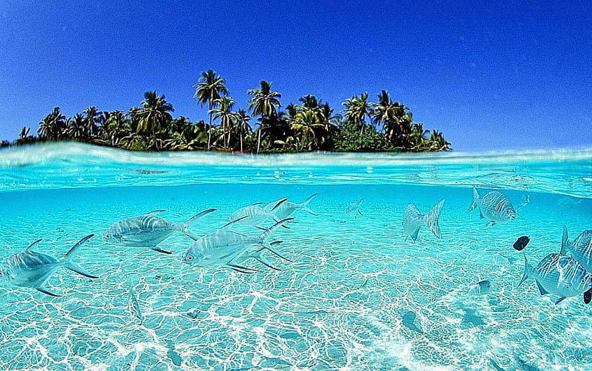 Playa de Maldivas. Galería de , Vietnam fondo de pantalla