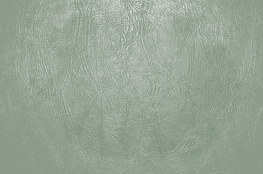 Gráfico de textura de close-up de couro verde sábio [] para seu celular e tablet. Explore Sage Green. Verde Claro Texturizado, Verde Texturizado papel de parede HD