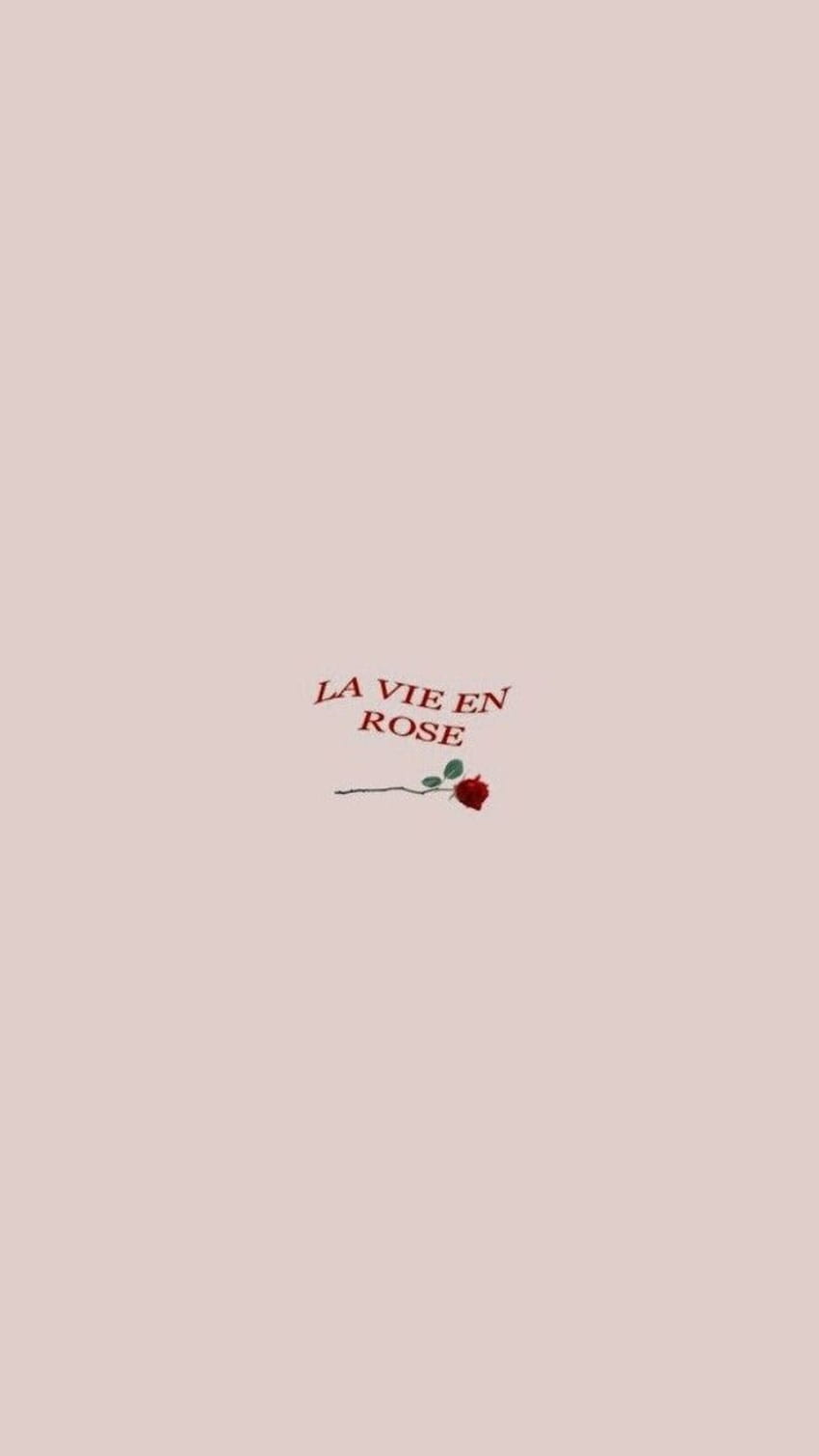 относно розовото в, La Vie En Rose HD тапет за телефон