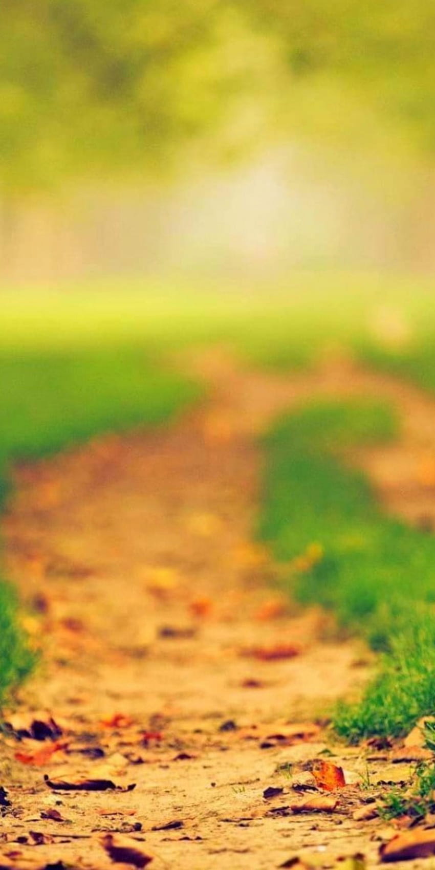 Grass, Blurry, Path, Road, Scenery, Trees for Huawei Mate 10, Blurred Grass HD phone wallpaper