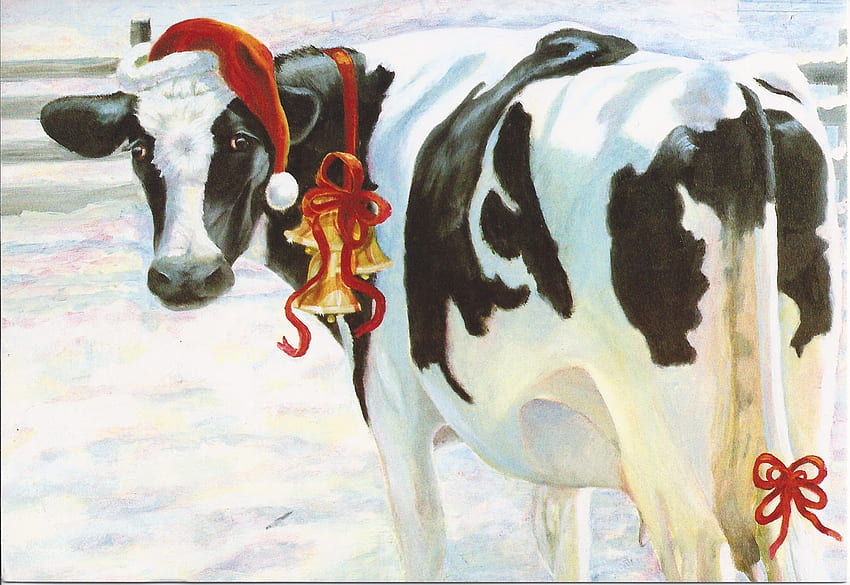 Christmas,Cow, winter, cow, white, christmas, card, heffer, country, hat HD wallpaper