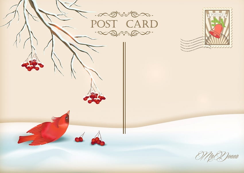 Cartolina d'inverno, inverno, francobollo, foglie, uccello, neve, cartolina, cardinale Sfondo HD