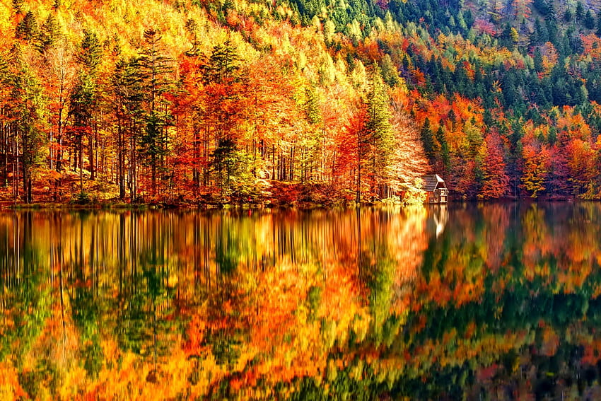 October, colorful, glow, colors, nice, reflection, shine, autumn, golden, fall, beautiful, tree, falling, leaves, mirrored, pretty, branches, nature, lovely, foliage HD wallpaper