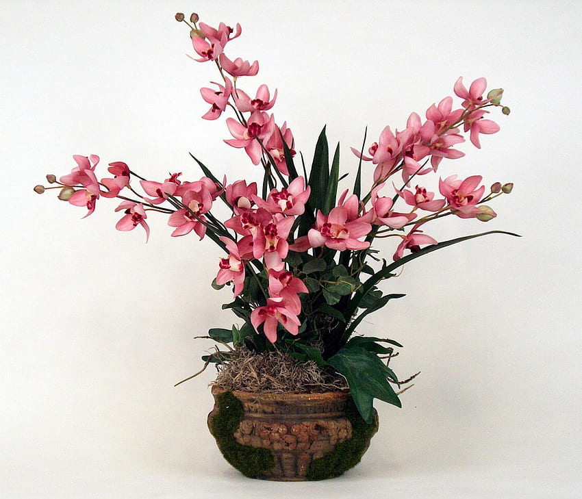 Tropical Flowers, tropical orchids, silk flowers, pot HD wallpaper