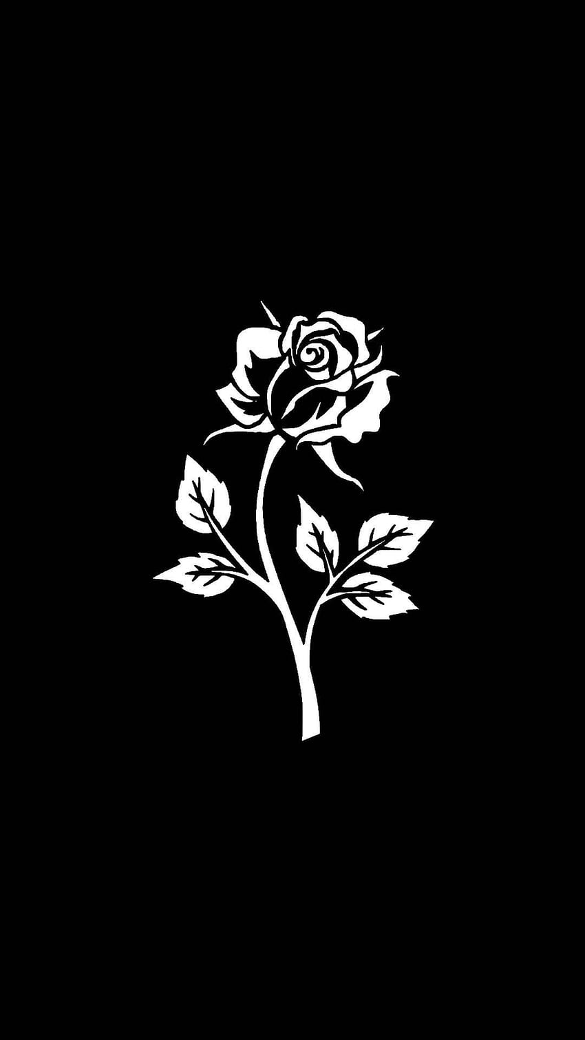Czarny na telefonie z białą różą. Czarne tło, czarno-białe kwiaty, czarna estetyka, czarno-białe róże iPhone Tapeta na telefon HD