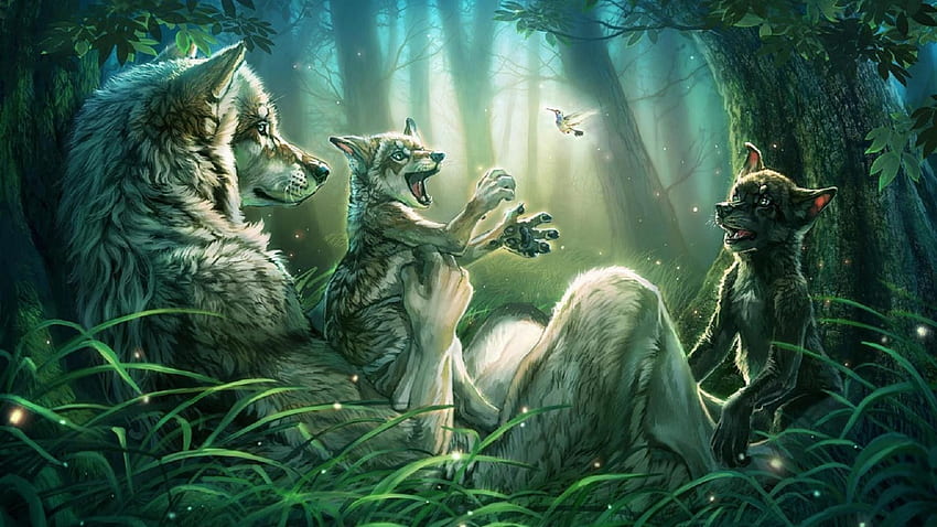 Wolf Furry HD wallpaper