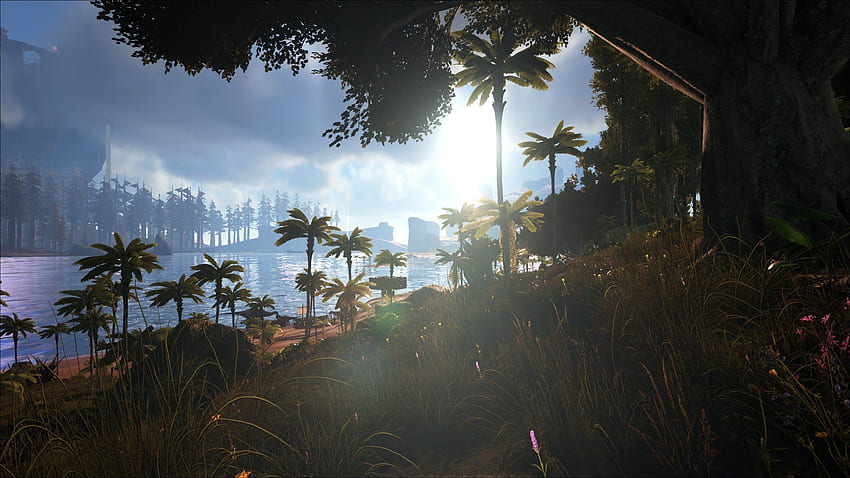 Ark: Survival Evolved, First person, Video games, Ultra Settings HD wallpaper