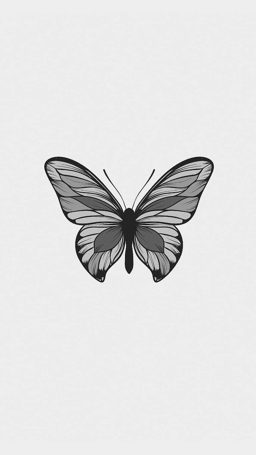 Butterfly Minimal Background , Minimalist Butterfly HD phone wallpaper ...