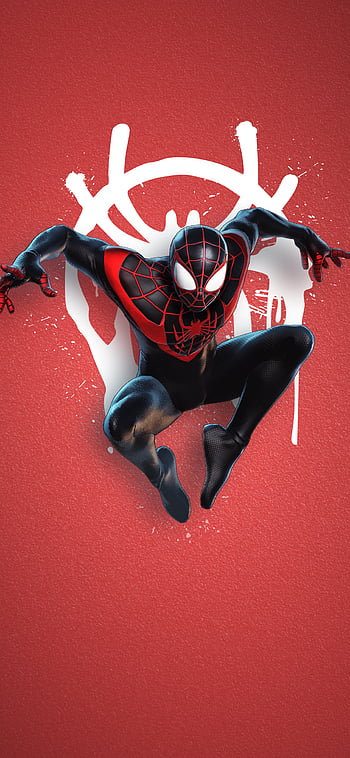 Spiderman HD wallpapers  Pxfuel