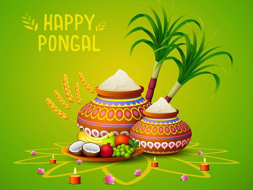 Happy Pongal 2021: souhaits, messages, citations, statut Facebook et Whatsapp - Times of India Fond d'écran HD