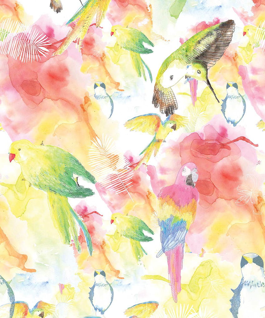 Watercolor Birds, The Ultimate Tropical Bird • Milton & King, Tropical Bird Art HD phone wallpaper
