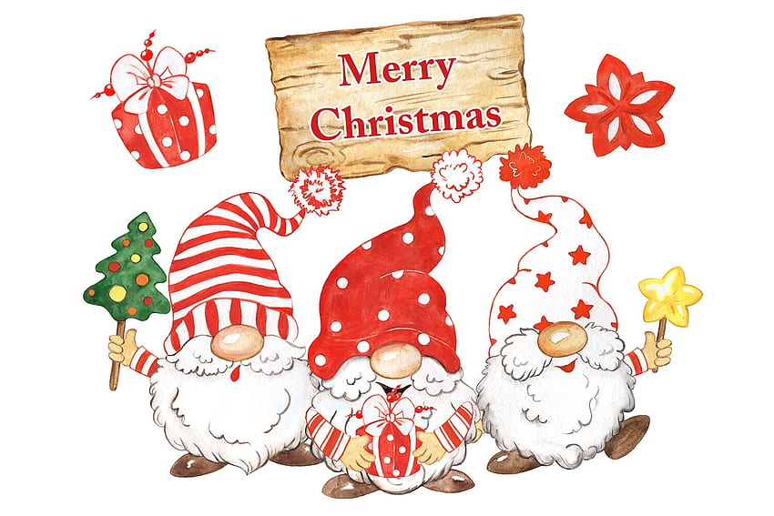Funny Christmas Gnomes, vector, funny, gree, red, gnomes HD wallpaper