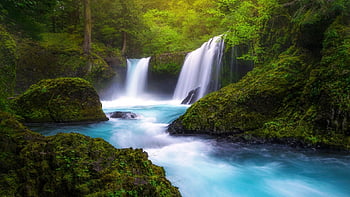 Beautiful Forest Waterfall HD wallpaper