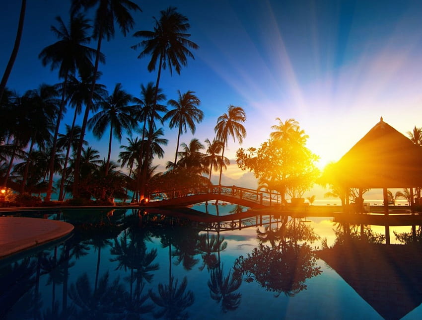 Sunrise in Thailand, rays, sea, palms, Thailand, glow, exotic, beautiful, sunrise, beach, vacation, summer, rest, hut, pool, water HD wallpaper