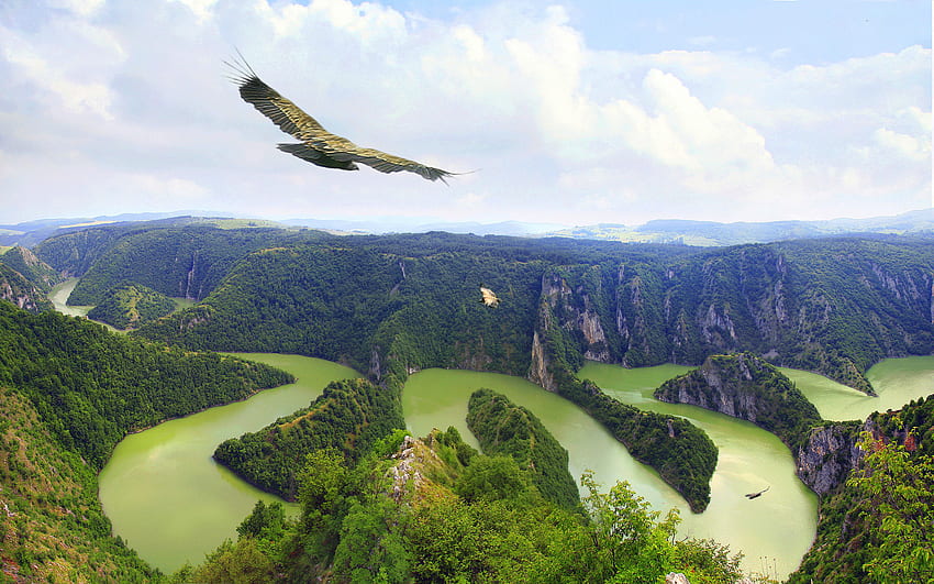 THE KING OF AIR IS FLYING, 3d, , cool, , nature, amazing, nice HD-Hintergrundbild