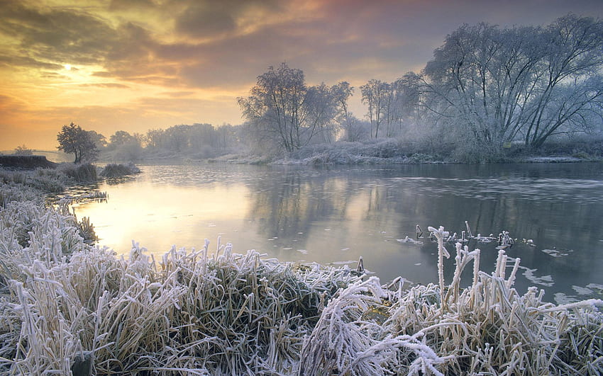 Nature, Rivers, Trees, Grass, Sky, Morning, Frost, Hoarfrost HD wallpaper