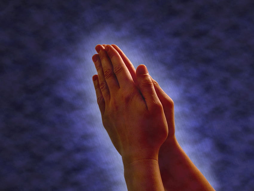 Prayer Hands 2019 , Praying Hands HD wallpaper