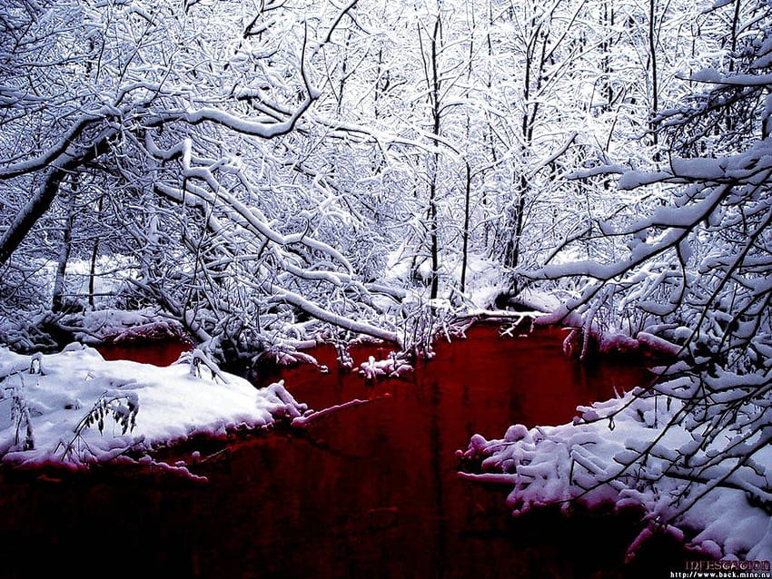 Blood, Gothic Winter HD wallpaper