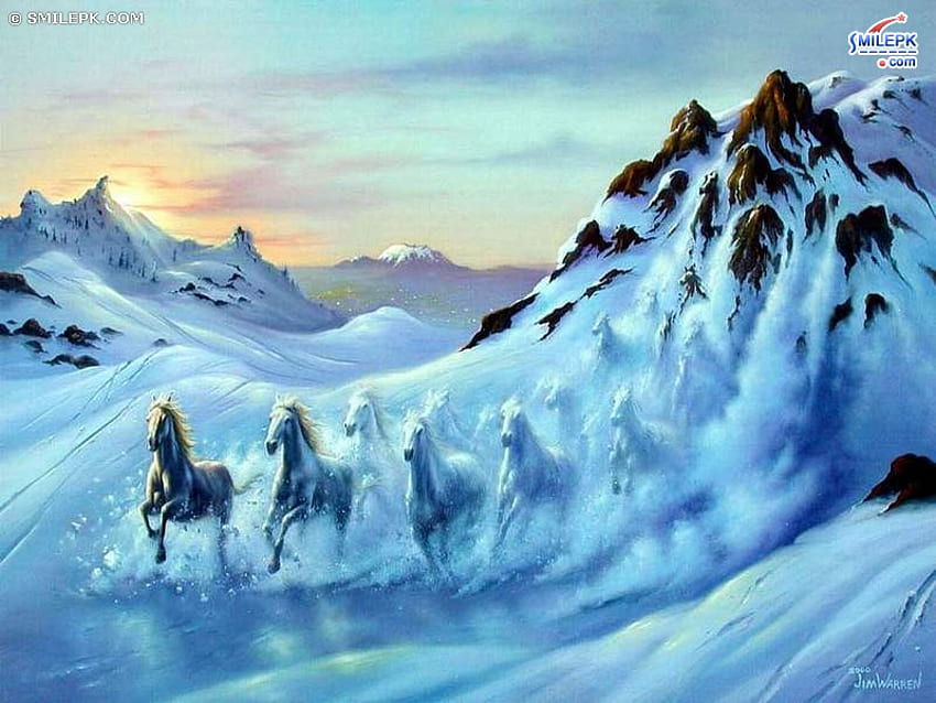 horse, white, mountain HD wallpaper