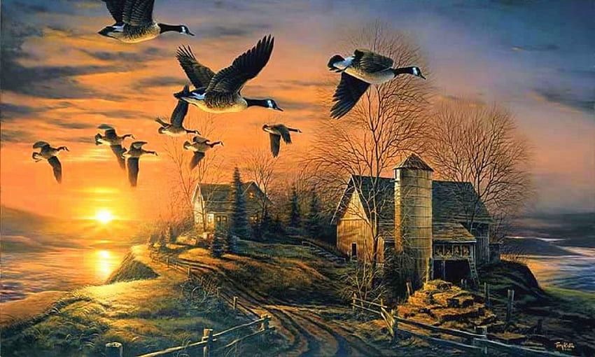 Sundown, birds, sunsets, attractions in dreams, flying, paintings, beautiful, love four seasons, rural, animals, trees, draw and paint, nature, lovely HD wallpaper
