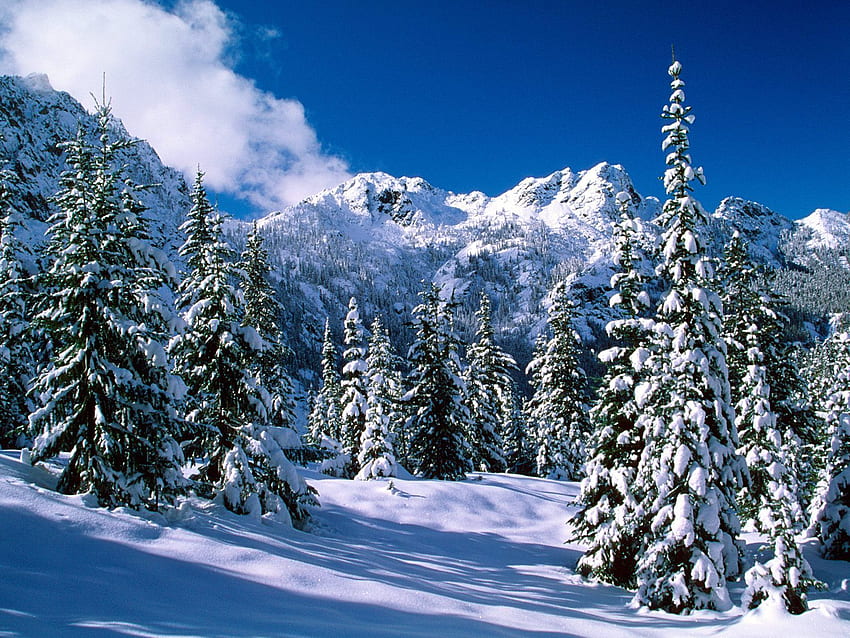 Alpine Winter , Windows 10 Winter HD wallpaper