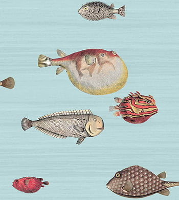 whimsical worlds merge as fornasetti reveals fourth wallpaper