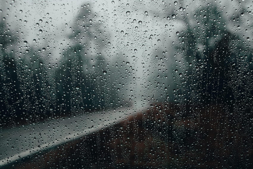 Rain, Drops, Macro, Surface, Glass HD wallpaper