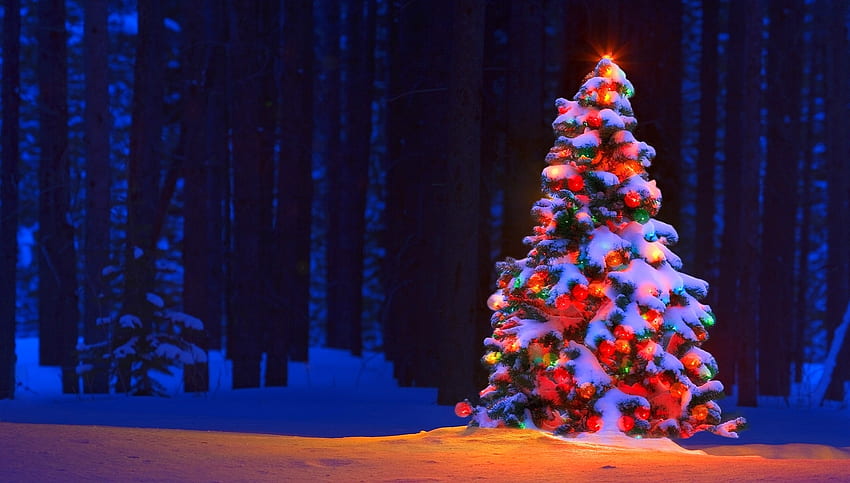 Luci natalizie, inverno, vacanze, attrazioni nei sogni, ornamenti, amore quattro stagioni, Natale, neve, luci, decorazioni, natale e capodanno Sfondo HD