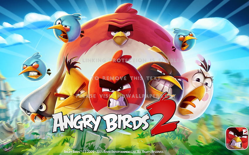 Angry birds funny HD wallpapers | Pxfuel