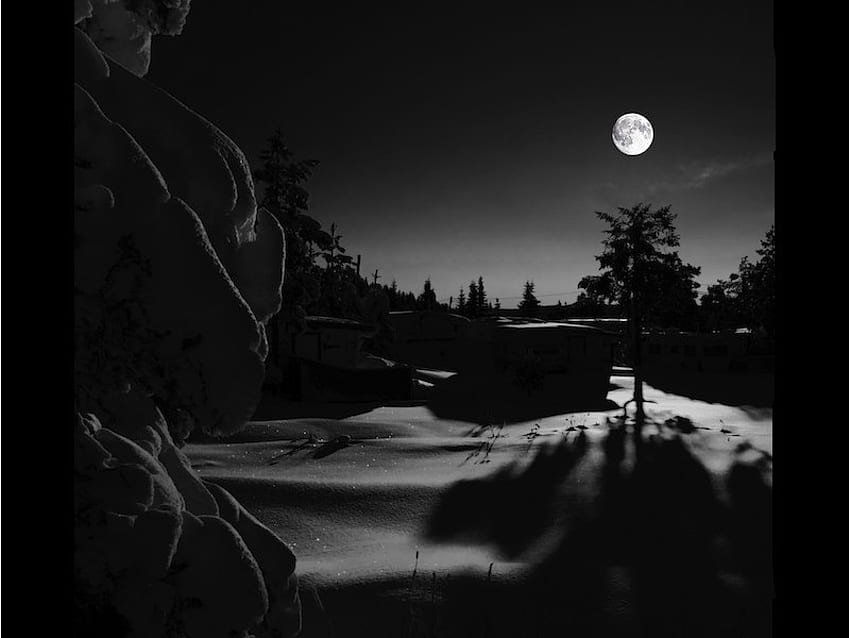 Snowscape, sky, moon, snow, cabin HD wallpaper