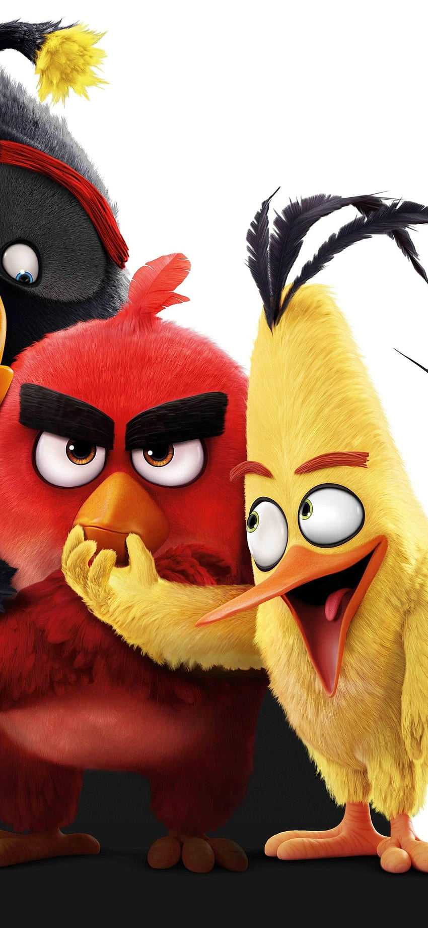 The Angry Birds – Cool Background, Cute Angry Birds HD phone wallpaper |  Pxfuel