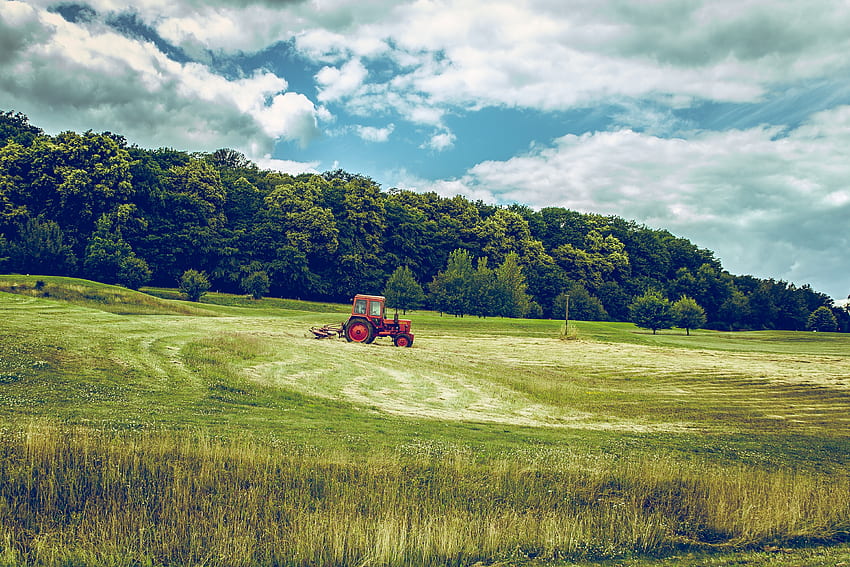 Alam, Rumput, Lapangan, Traktor, Pertanian Wallpaper HD