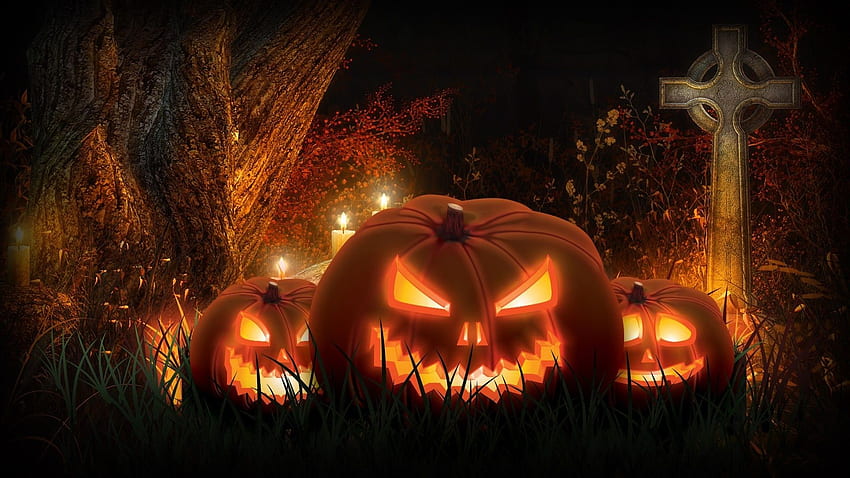 Jack-O-Lantern. Jacks Skelett, Halloween HD-Hintergrundbild