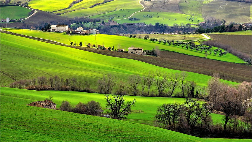 Italy, Landscape, Field, Trees, Hill, Nature / and Mobile Background, Italian Nature HD wallpaper