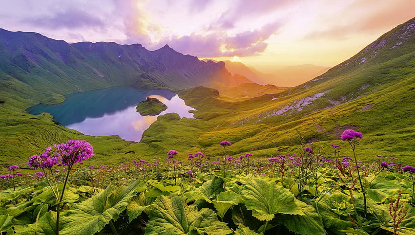 Tramonto al lago Schrecksee, Alpi, Tirolo, montagna, lago, fiori di campo, Baviera, vista, Austria, Germania, tramonto Sfondo HD