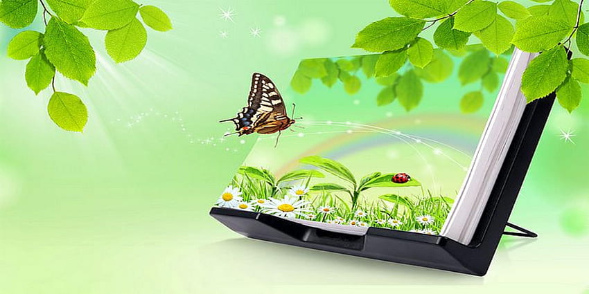 Countdown to Spring, book, butterfly, green, spring, office HD wallpaper