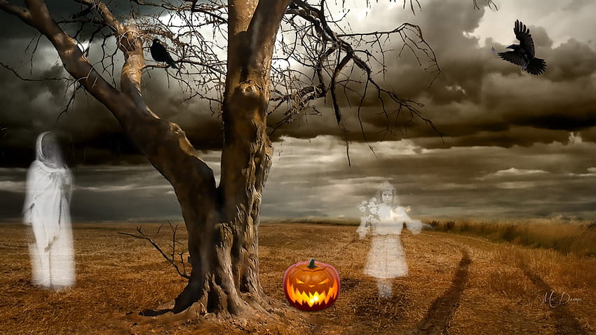 Malam Semua Hallows, hantu, roh, pohon mati, seram, berhantu, jack-o-lanterns, lapangan, Halloween, labu, langit Wallpaper HD