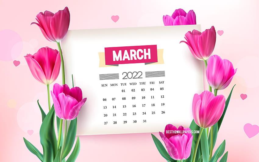 Calendrier de mars 2022, , tulipes roses, fond de printemps avec des tulipes, mars, calendriers de printemps 2022, fleurs de printemps, calendrier de mars 2022 Fond d'écran HD