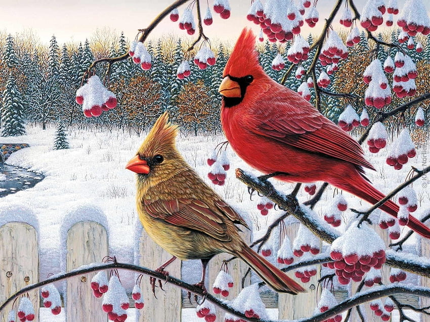 Female and Male Cardinal in Winter, birds, painting, fence, snow HD wallpaper