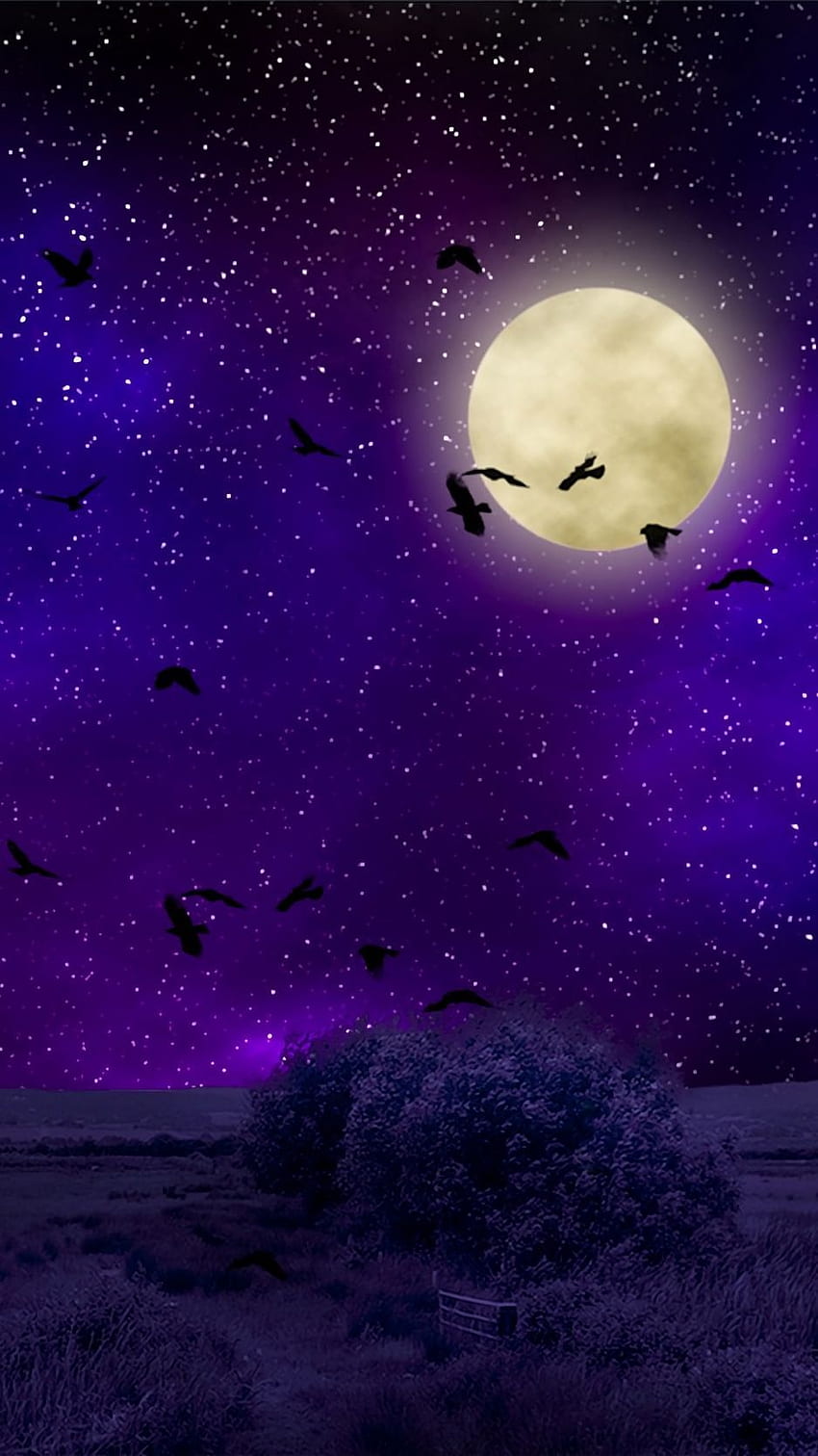 Pleine lune, ciel étoilé, oiseaux, nuit, hop . Fond frais. houblon, fond d'Halloween, iphone d'Halloween, lune rose et violette Fond d'écran de téléphone HD