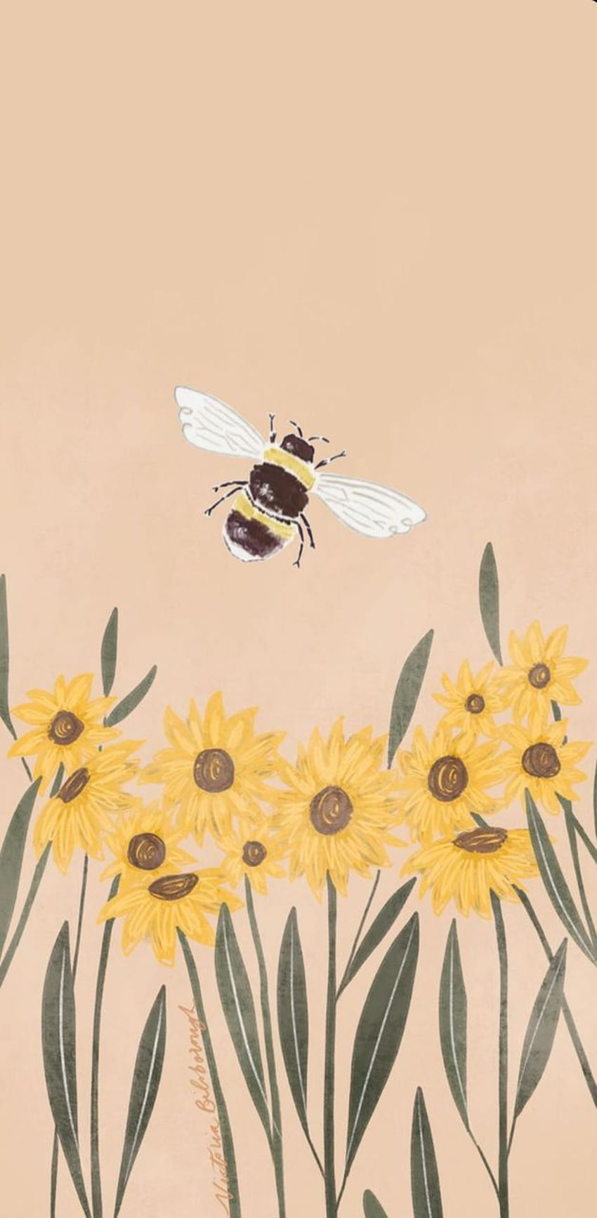 Bumblebee Aesthetic Wallpapers  Bee Aesthetic Wallpaper iPhone