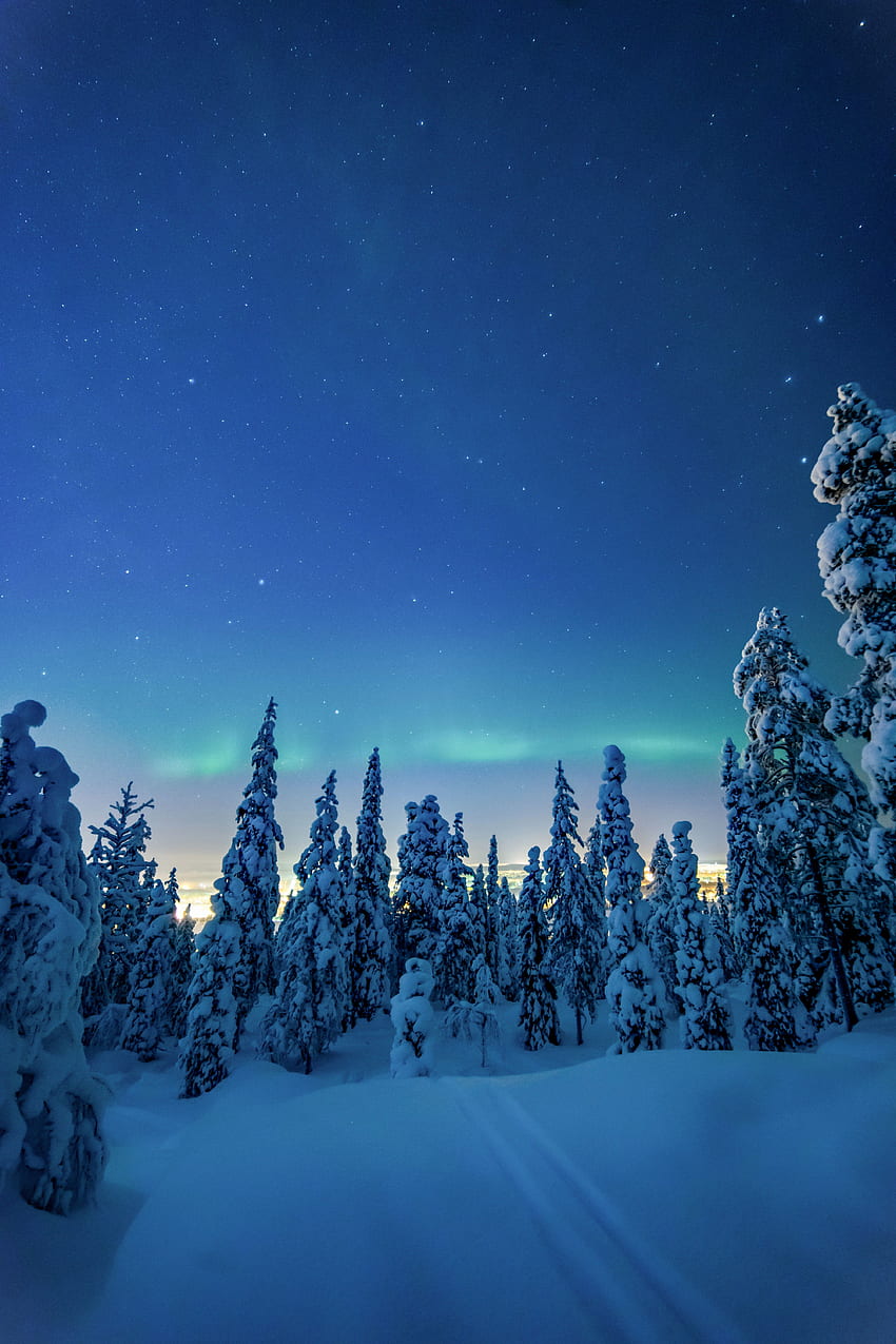 Peyzaj, Kış, Doğa, Ağaçlar, Gece, Kar HD telefon duvar kağıdı